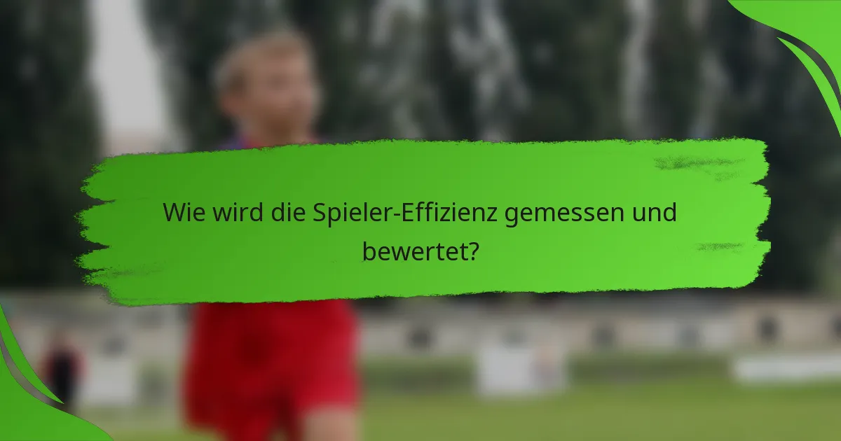 Wie wird die Spieler-Effizienz gemessen und bewertet?
